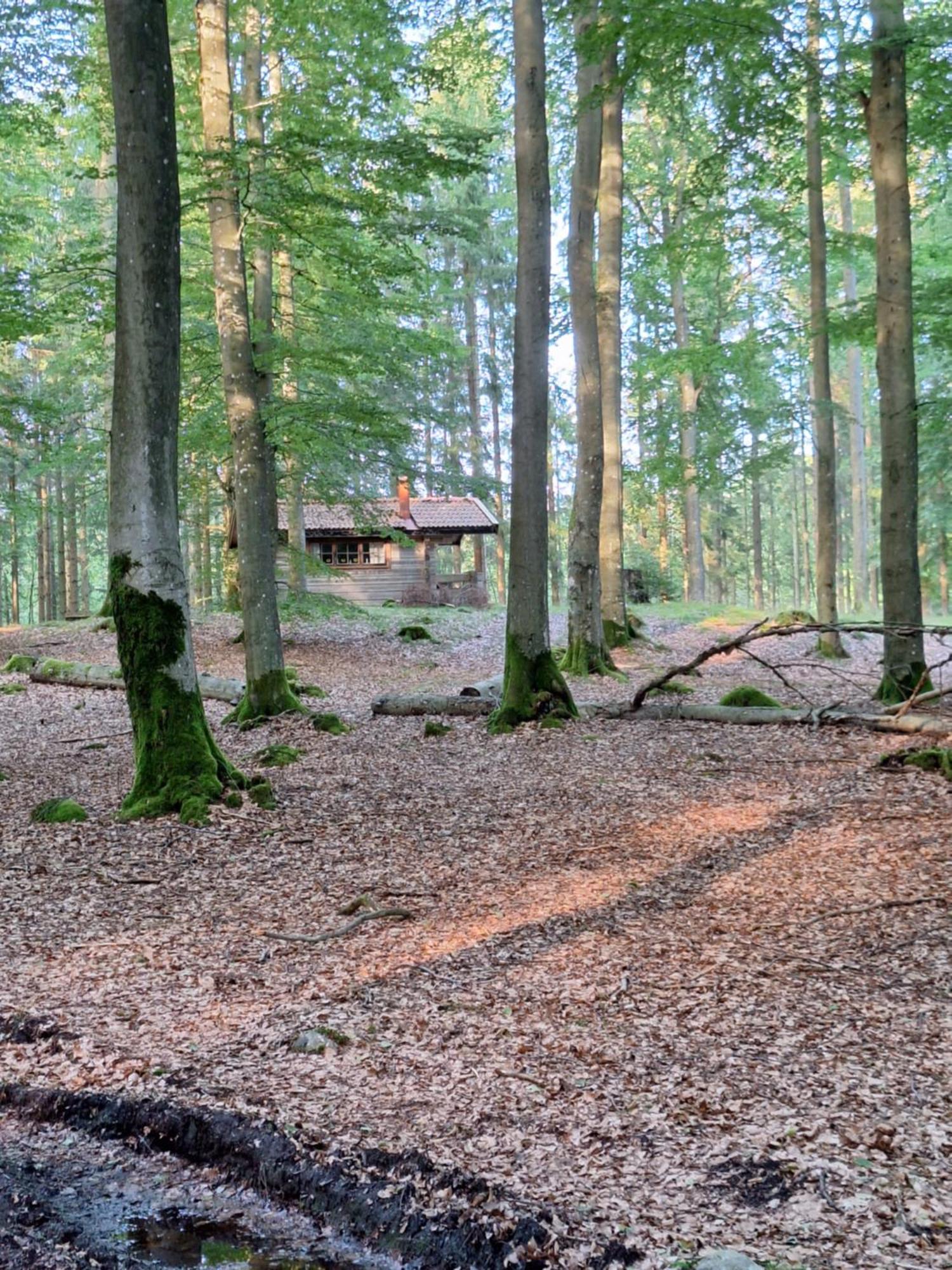 Bjaernhultsgardens Stugor Linderod Luaran gambar